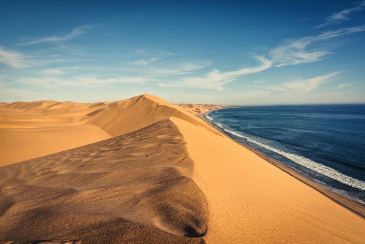 Picture of Namibian Seaside