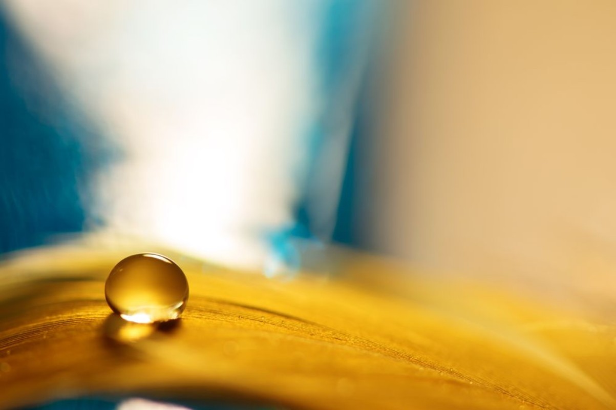 Afbeeldingen van A drop of water on a golden feather with a blue background A feather with a drop of water Selective focus