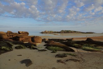 Picture of Cte de granit rose plage de Tregastel cte dArmor Bretagne France