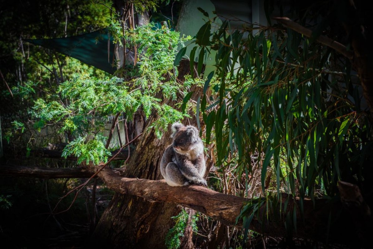 Image de Nature reserve