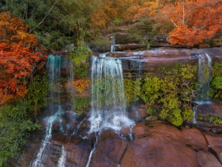 Picture of Beautiful waterfall in autumn forest Nakhonphanom province Thailand