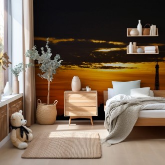 Afbeeldingen van Paris ombres chinoises