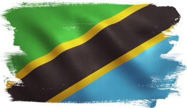 Bild von Tanzanian Flag