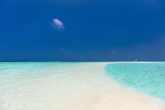 Pilt Beautiful tropical beach at Maldives