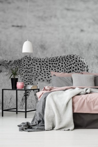 Afbeeldingen van Cheetah walking in the grass in Kalagadi