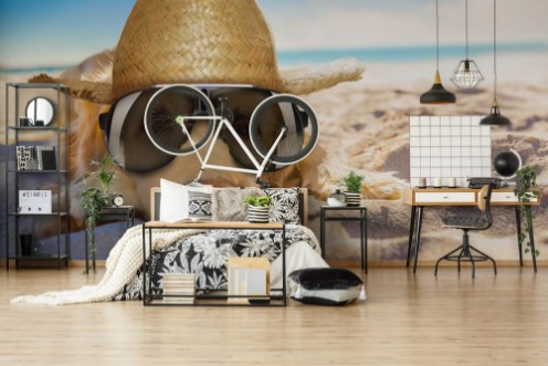 Picture of Dog retired at the beach