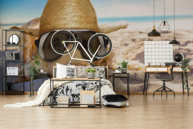 Picture of Dog retired at the beach