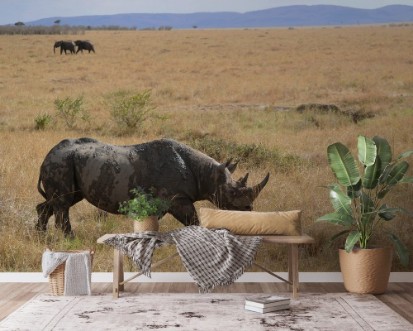 Afbeeldingen van Rhino Patrol