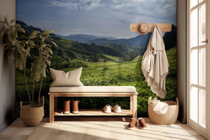 Bild på Teeplantage in den Cameron Highlands