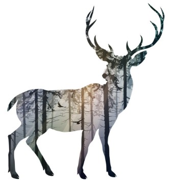 Afbeeldingen van Silhouette of a deer Inside it is a misty coniferous forest with sun rays and flying birds Isolated object on white background