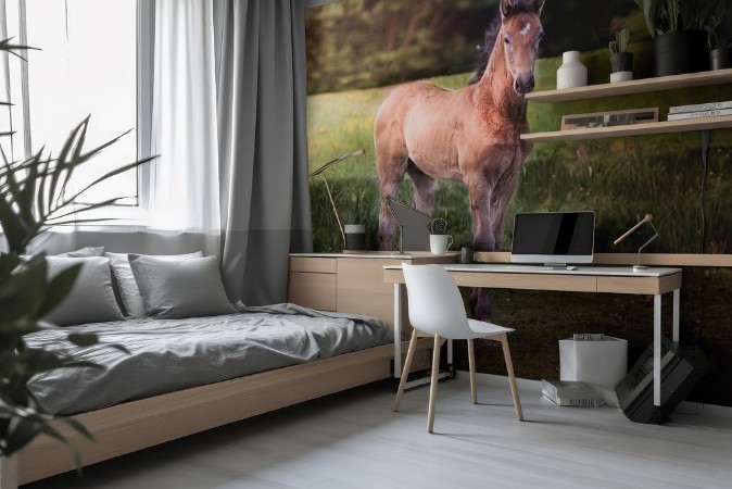 Bild på Foal in a forest during sunrise