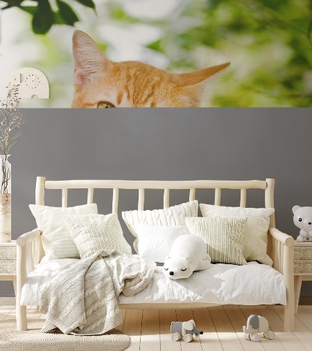 Picture of Cute orange cat in the garden It was happy after breakfast