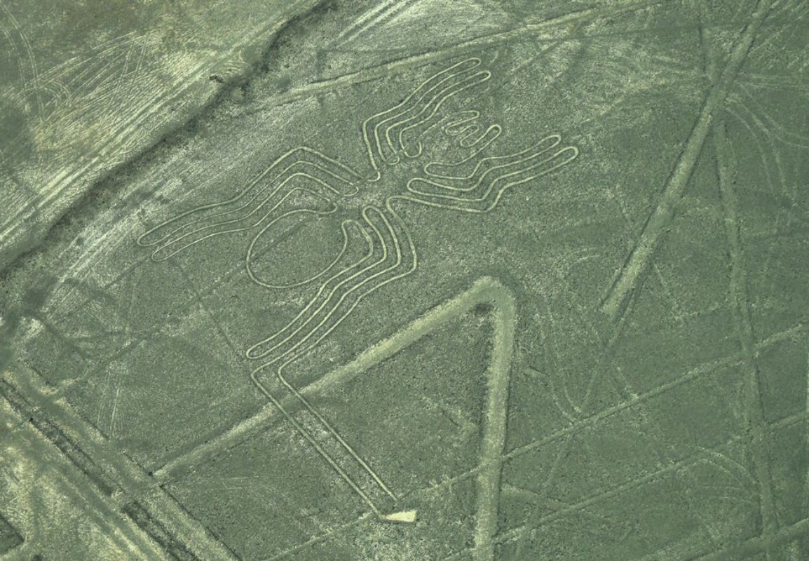 Picture of The Nazca Lines in Peru here you can see the Spider