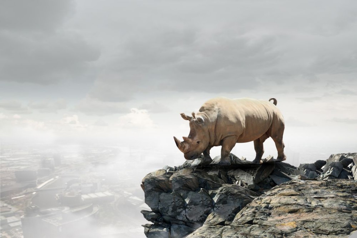 Image de Herculean Rhinoceros