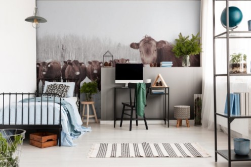 Bild på To be a farmer