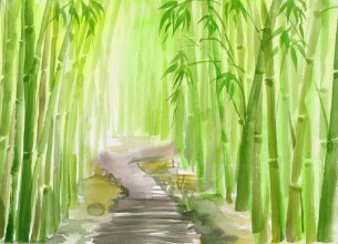 Afbeeldingen van Single path alley through green bamboo forest