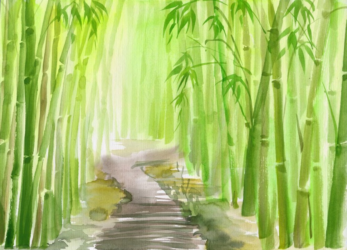 Afbeeldingen van Single path alley through green bamboo forest