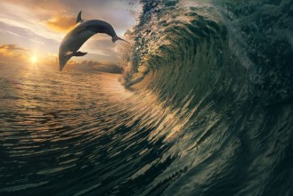 Image de Wave escape