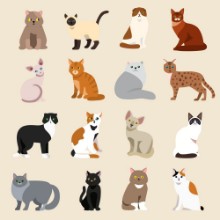 Obrázok z Cat breeds