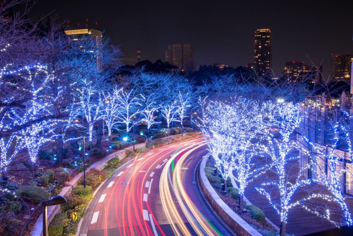 Poza cu Winter in Tokyo