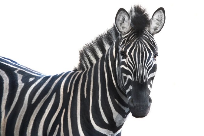 Picture of Hey there