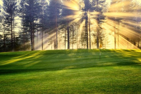 Image de Morning Sunshine