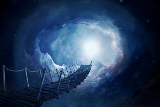 Afbeeldingen van Bridge to neverland