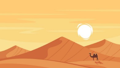 Cartoon desert paveikslėlis