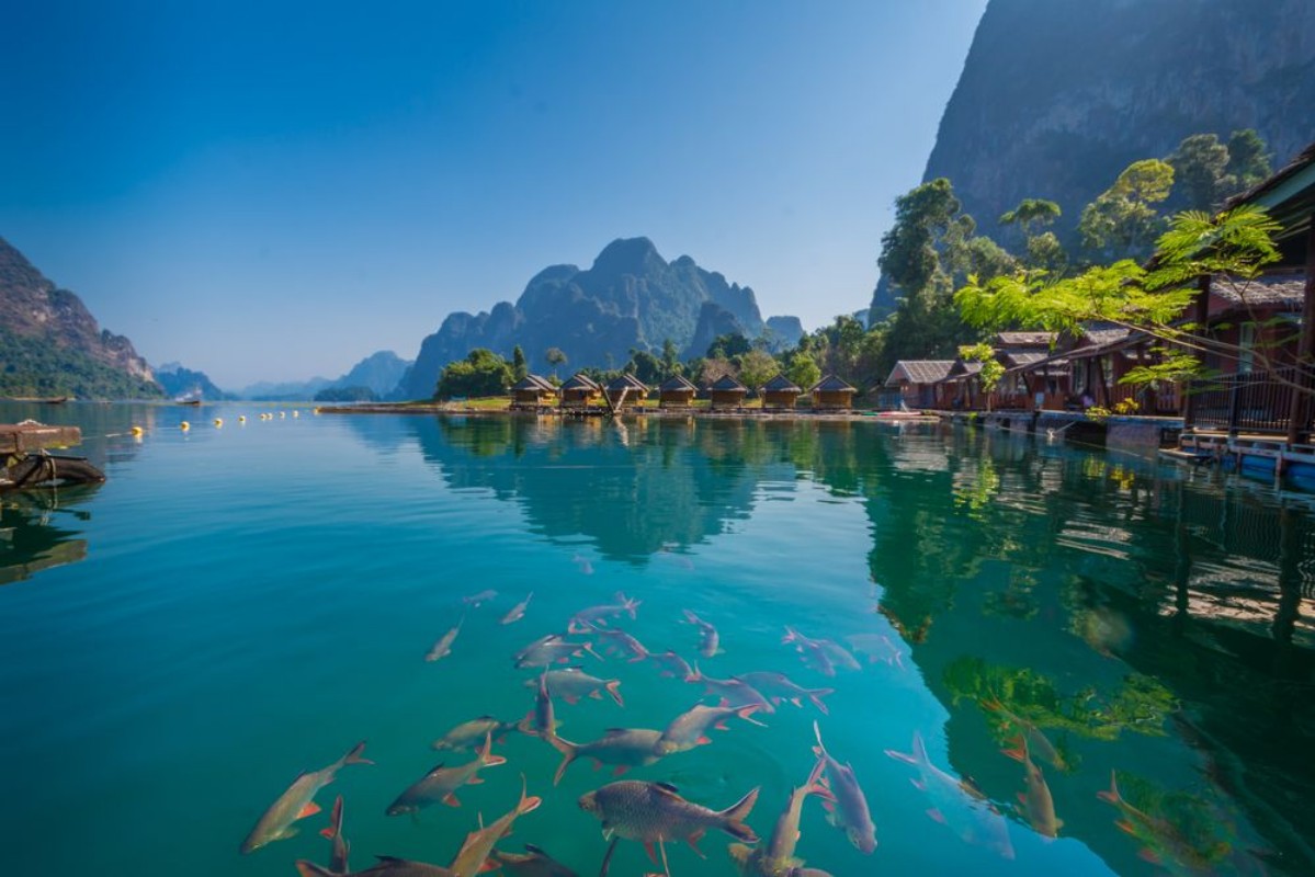 Picture of Ratchaprapa Dam Thailand