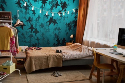 Picture of Skole med haier