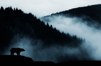 Afbeeldingen van Isolated