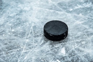 Immagine di Hockey life