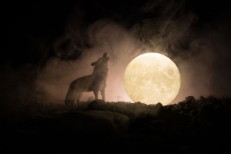 Picture of Full Moon
