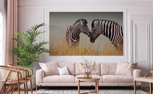 Imagem de Zebre - Madre e figlio