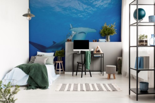 Bild på hammerhead shark