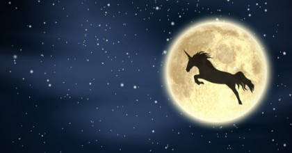 Poza cu Unicorn Night