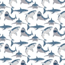 Снимка на Shark illustration