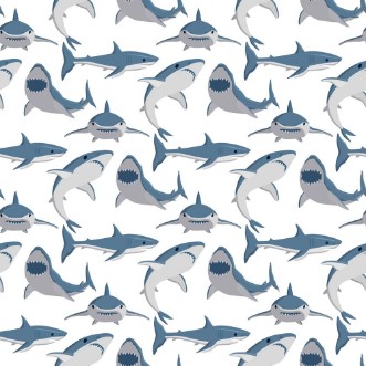 Picture of Shark illustration