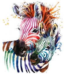 Imagem de Zebra illustration