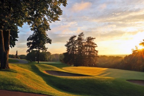 Picture of Golfing Hour