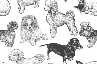 Bild von Hand-made dog pattern