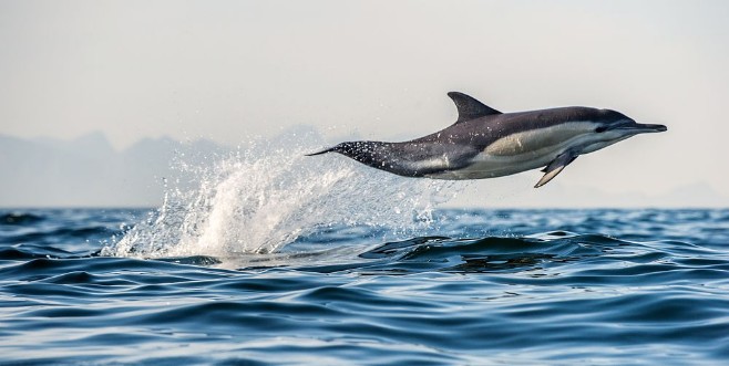 Flying through photowallpaper Scandiwall