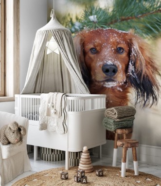 Picture of Lumikoira