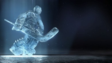 Kép Ice goalie