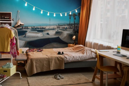 Picture of Skate paradise