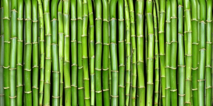 Obrazek Bamboo forest pattern II