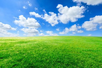 Image de Herbe verte et ciel bleu