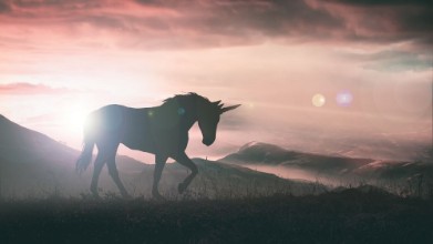 Bild von Unicorn Silhouette