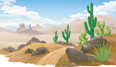 Picture of Sandy desert
