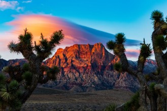 Bild von Red Rock Sunrise